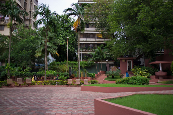 park-1